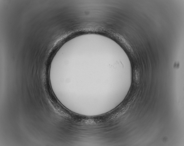 X0000096630588200803041106