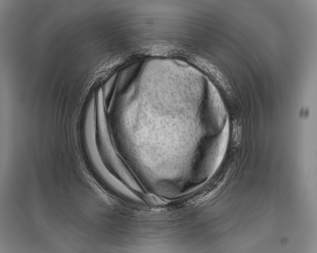 X0000096630589200803041106