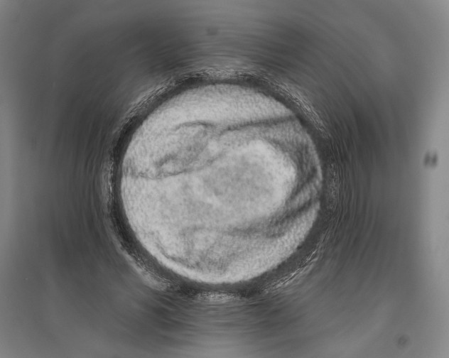 X0000096630590200803041106