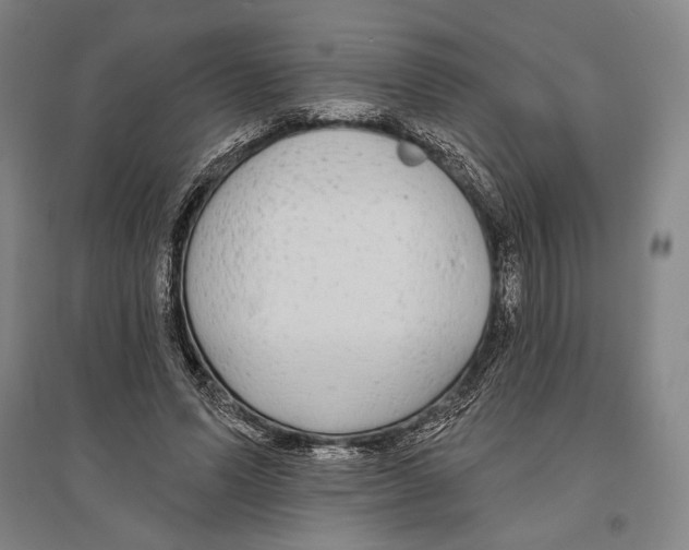 X0000096630591200803041106