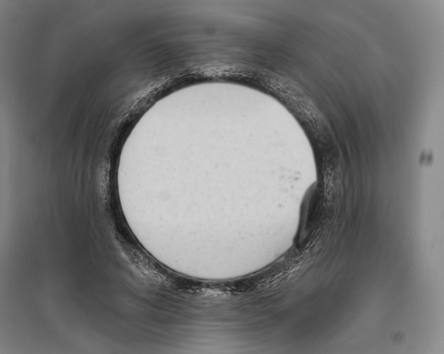 X0000096630592200803041106