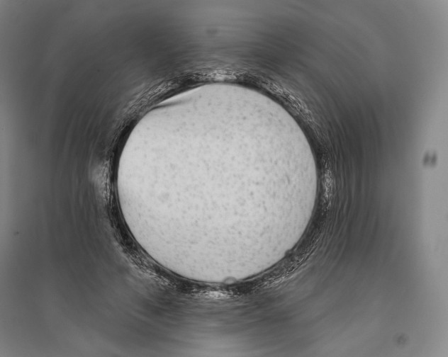 X0000096630594200803041106