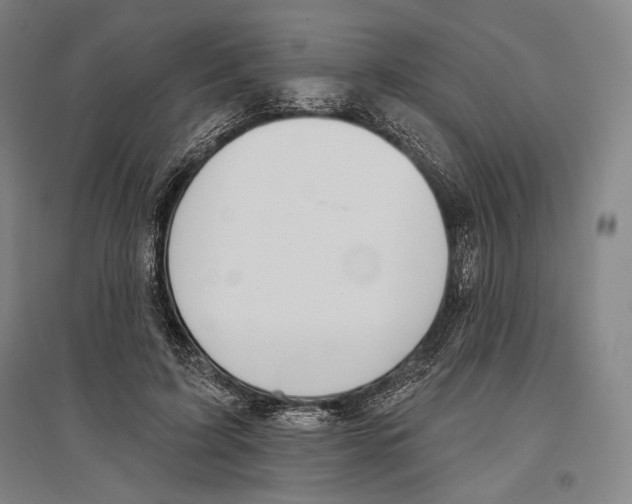 X0000096630595200803041106