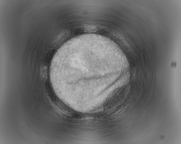 X0000096630598200803041106