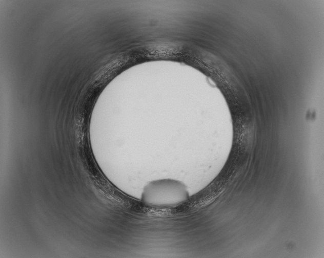 X0000096630599200803041106