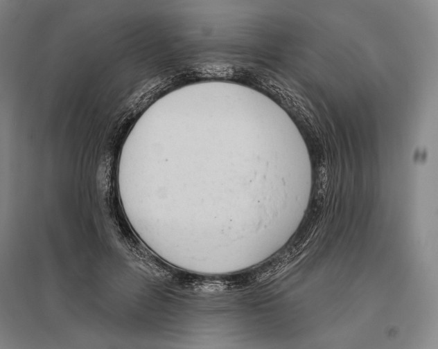 X0000096630600200803041106