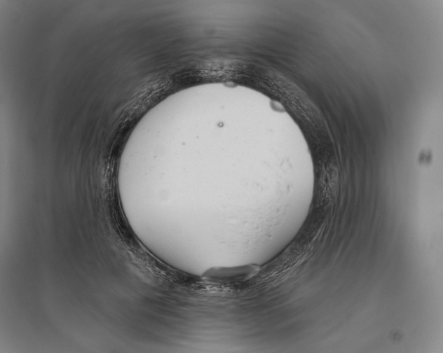 X0000096630601200803041106