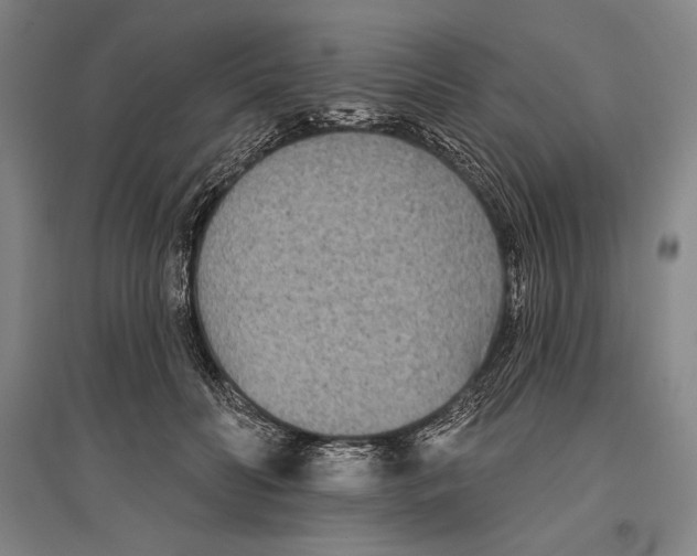 X0000096630606200803041105