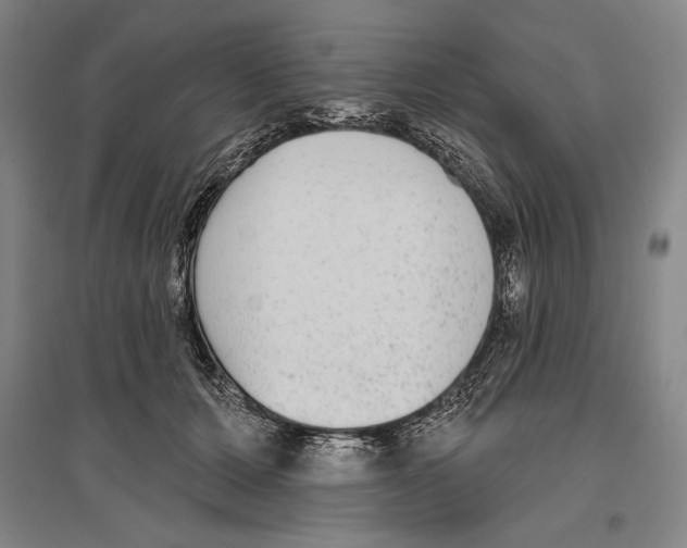 X0000096630607200803041105