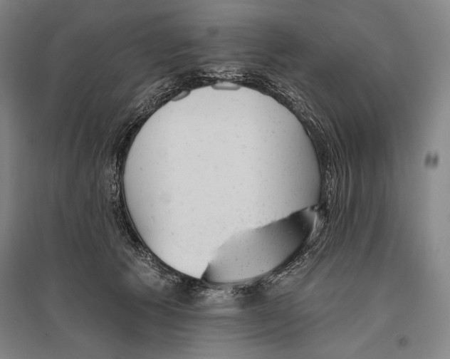 X0000096630609200803041105
