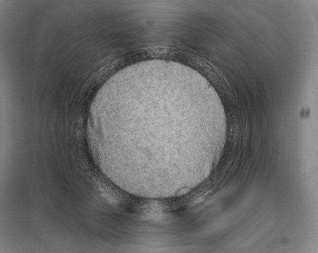 X0000096630610200803041105