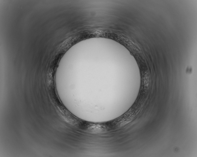 X0000096630611200803041105