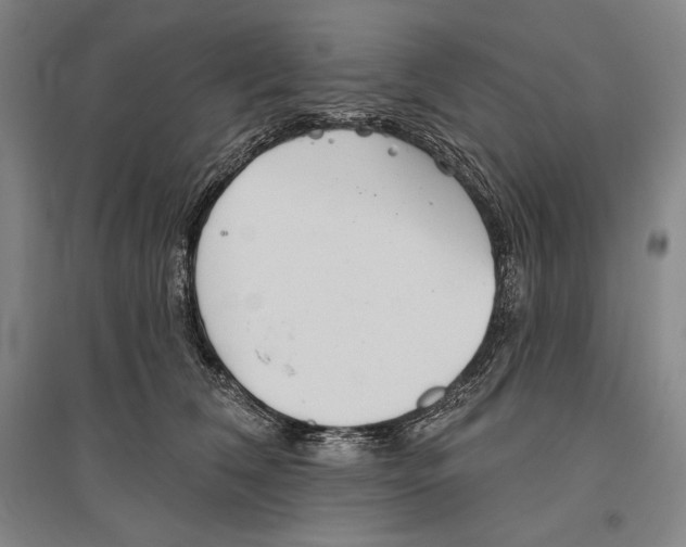 X0000096630612200803041105