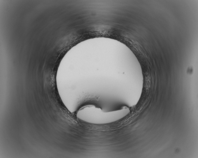 X0000096630613200803041105