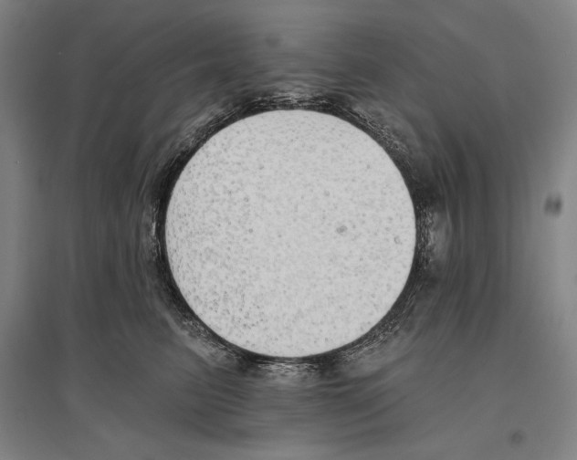X0000096630615200803041105