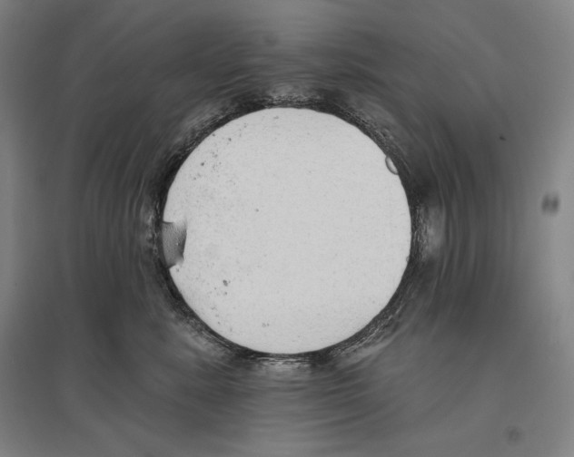 X0000096630619200803041105