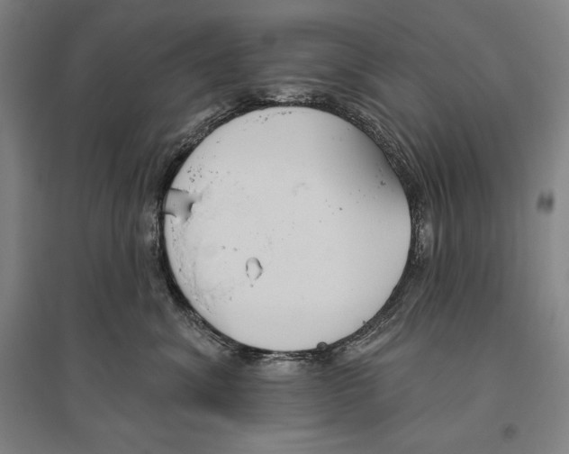 X0000096630620200803041105