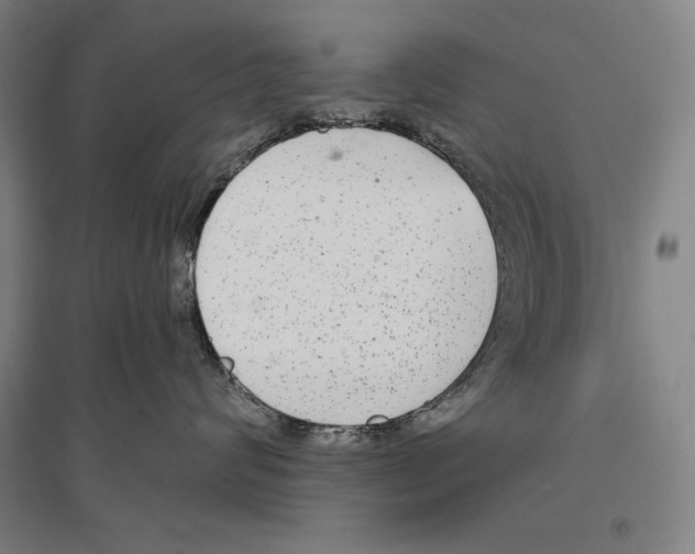 X0000096630624200803041105