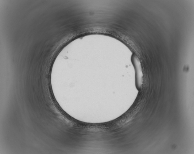 X0000096630625200803041105