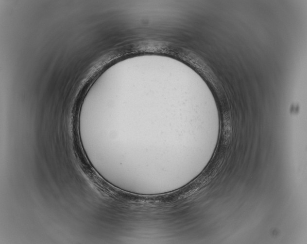 X0000096630626200803041105