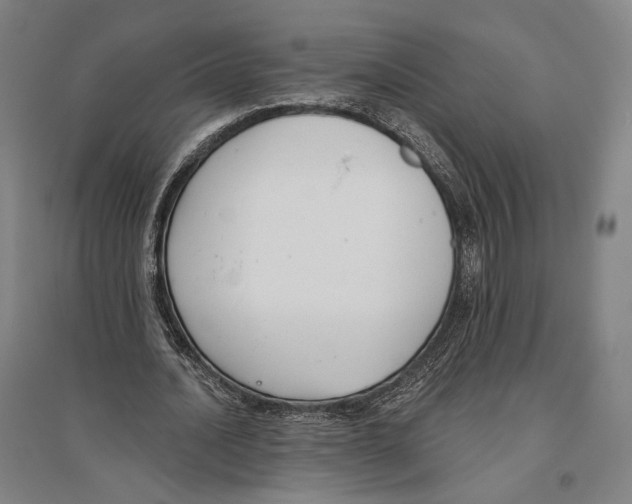 X0000096630628200803041105