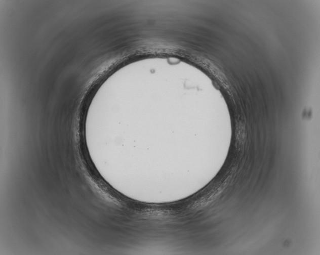 X0000096630629200803041105
