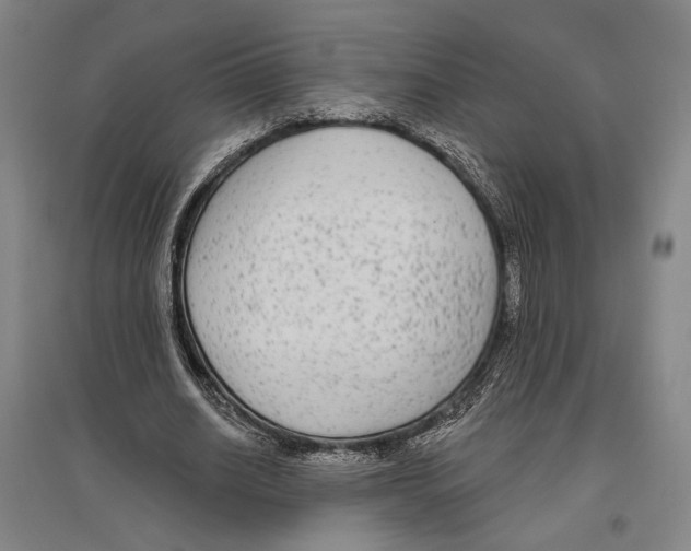 X0000096630630200803041105