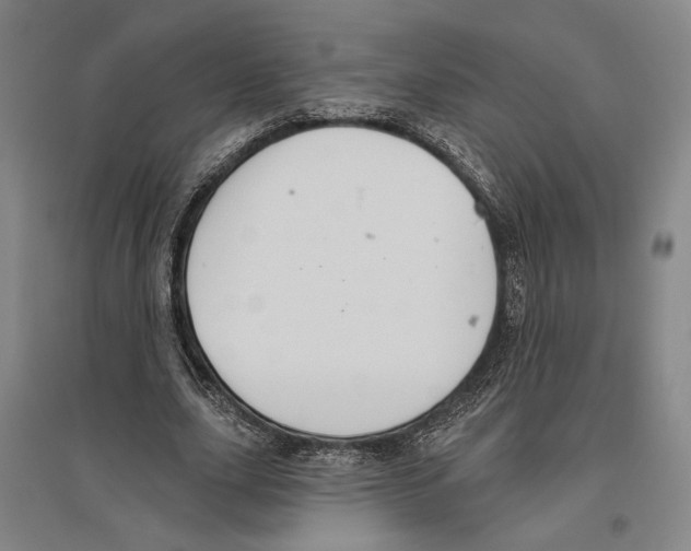 X0000096630631200803041105