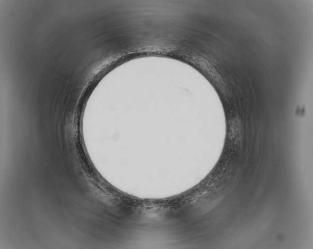 X0000096630632200803041105