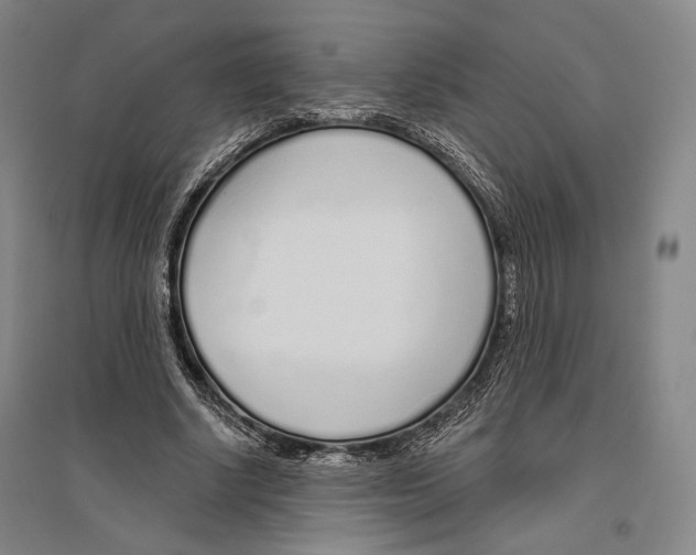 X0000096630634200803041105