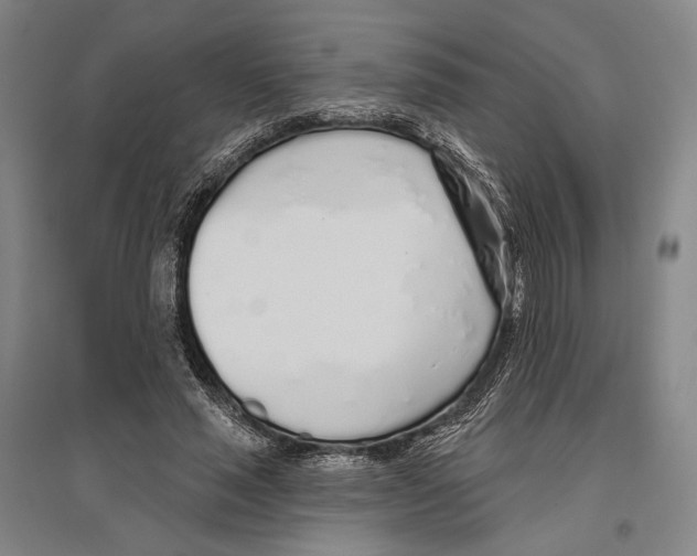 X0000096630637200803041105