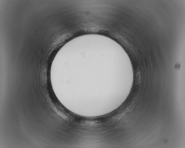X0000096630638200803041105