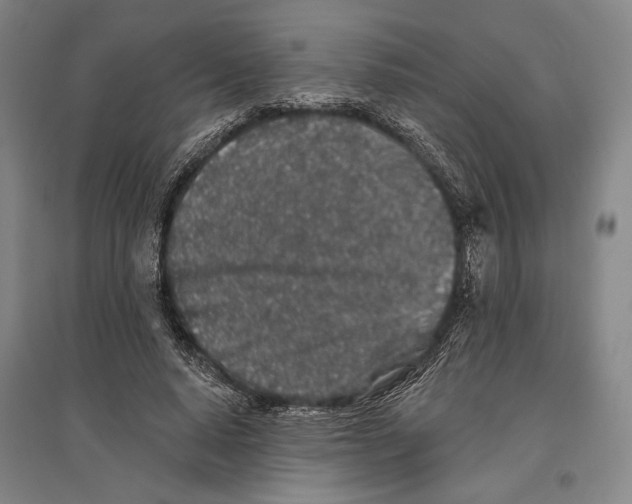 X0000096630640200803041105