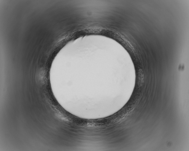 X0000096630641200803041105