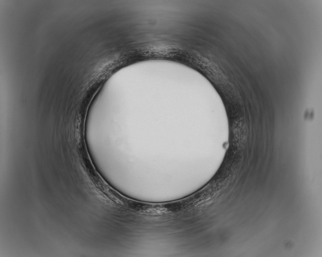 X0000096630642200803041105