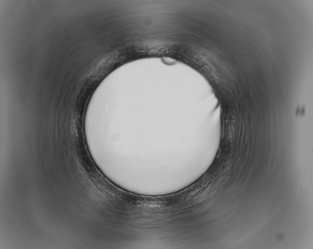 X0000096630643200803041105