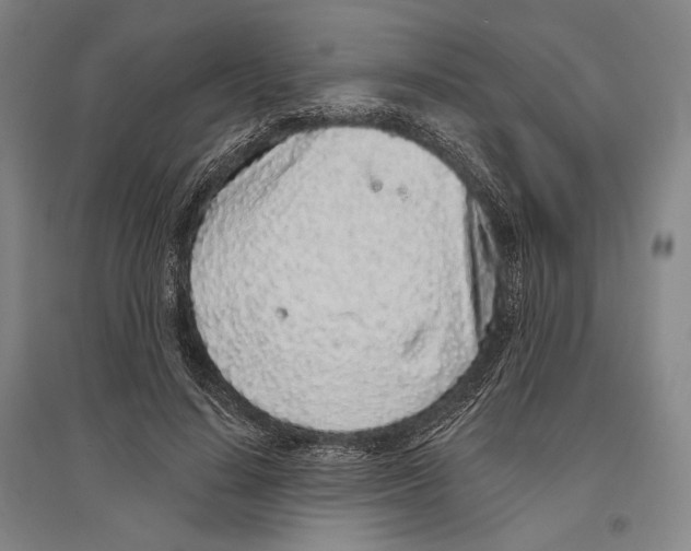 X0000096630644200803041105