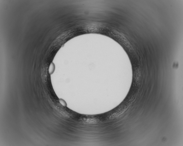 X0000096630645200803041105