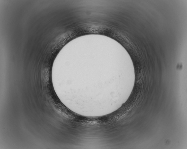 X0000096630646200803041105