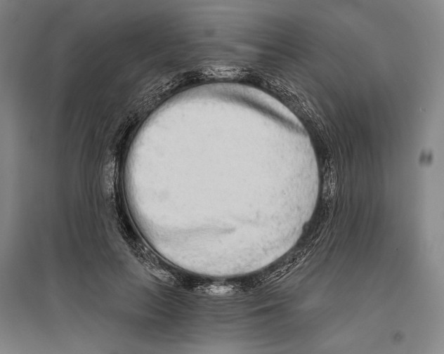 X0000096630647200803041105