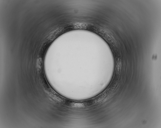 X0000096630649200803041105