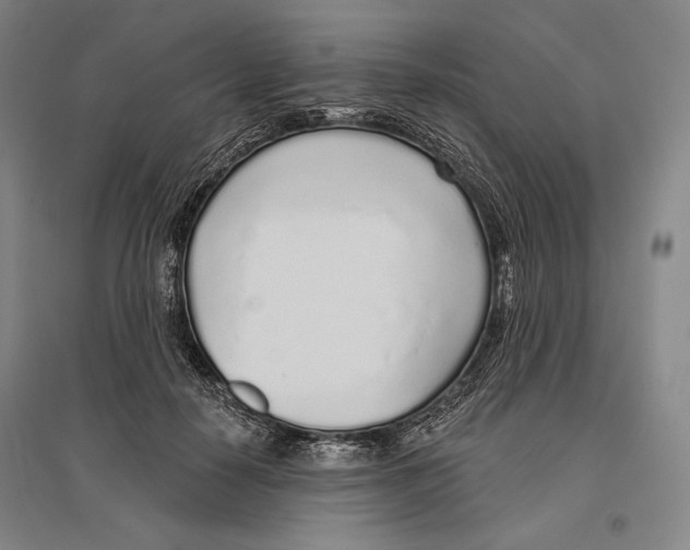 X0000096630650200803041105