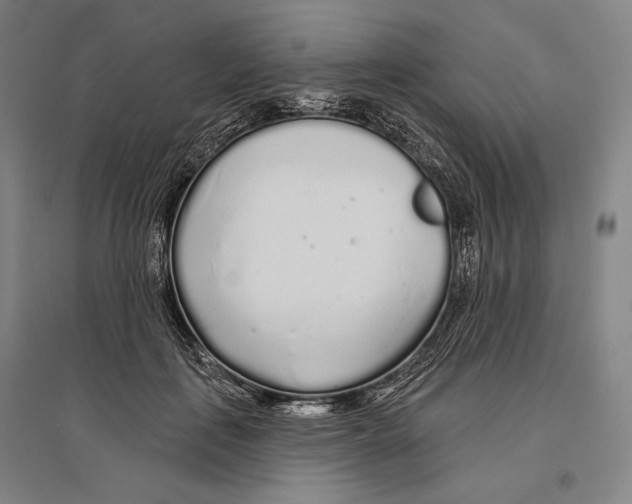 X0000096630651200803041105