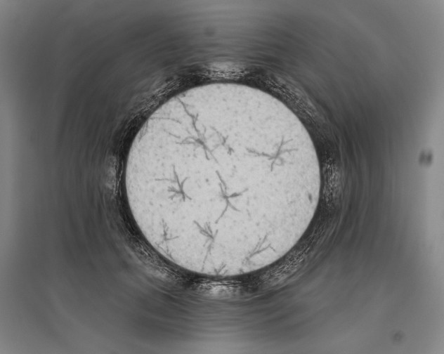 X0000096630655200803041105