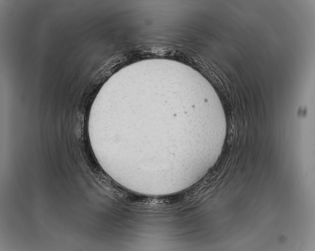 X0000096630656200803041105