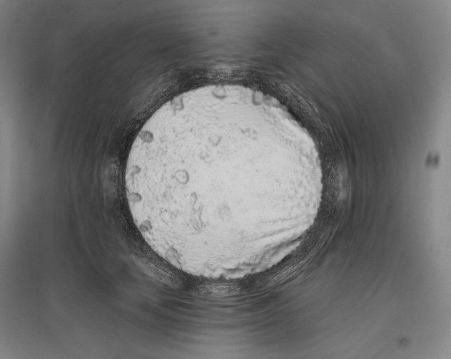 X0000096630659200803041105