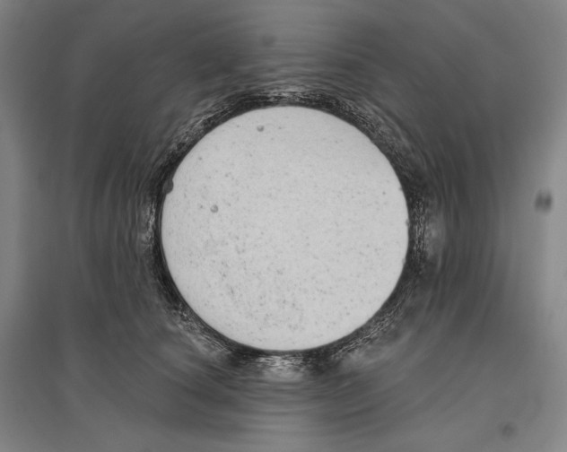 X0000096630660200803041105