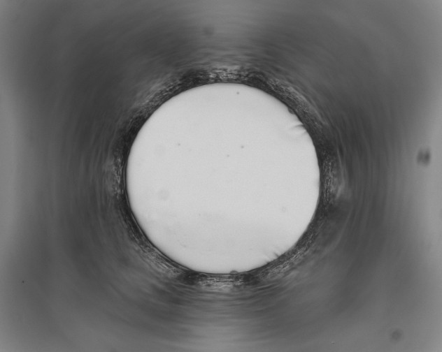 X0000096630661200803041105