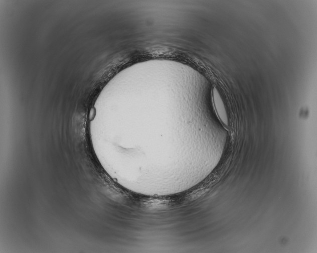 X0000096630664200803041105