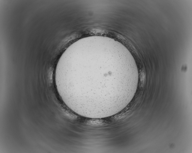 X0000096630668200803041105